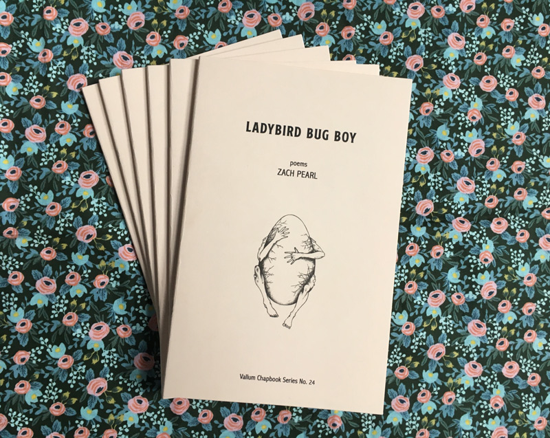 Ladybird Bug Boy: Poems by Zach Pearl